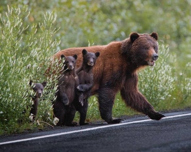 randompics217_055