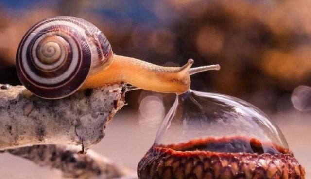 randompics221_078