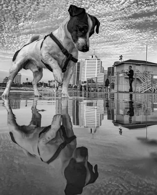 randompics229_006