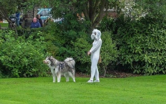 randompics229_033