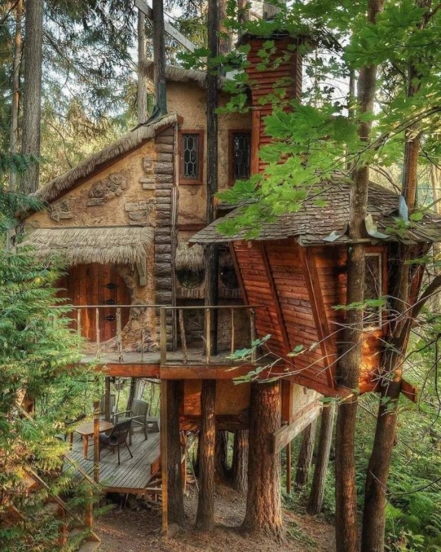 randompics229_049