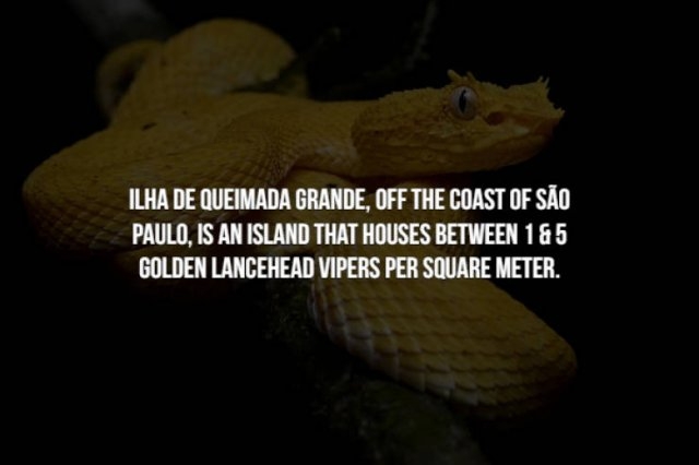 scaryfacts_003