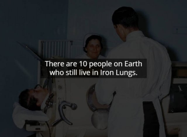 scaryfacts1_008