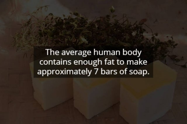 scaryfacts1_009