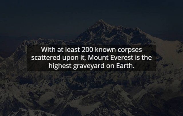 scaryfacts1_012