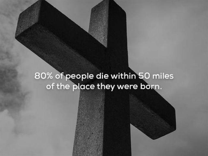 scaryfacts_1_009