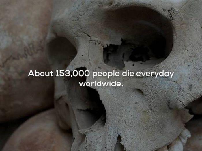 scaryfacts_1_019