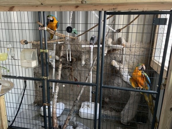 shippingcontainerhome_010