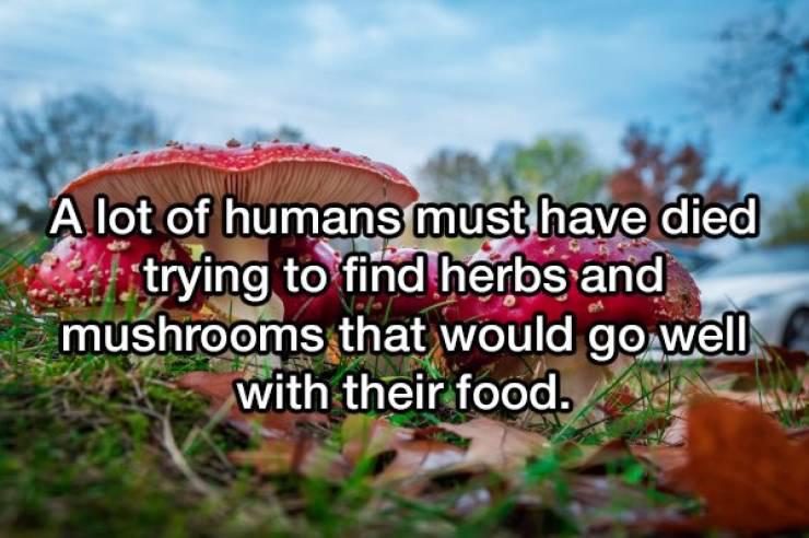 showerthoughts_001