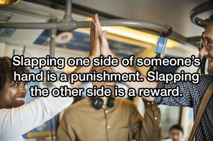 showerthoughts_007