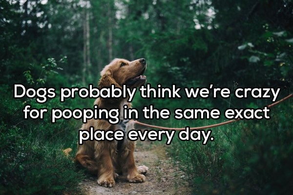 showerthoughts1_010