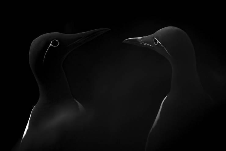 sonyworldawards2019_016