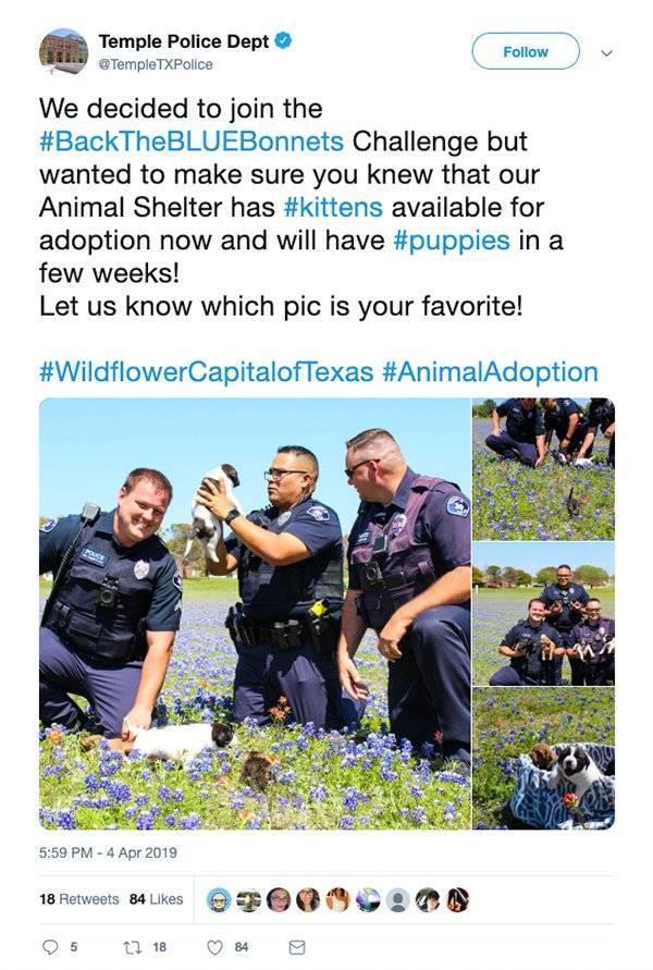 texaspolicebluebonnetchallenge_001