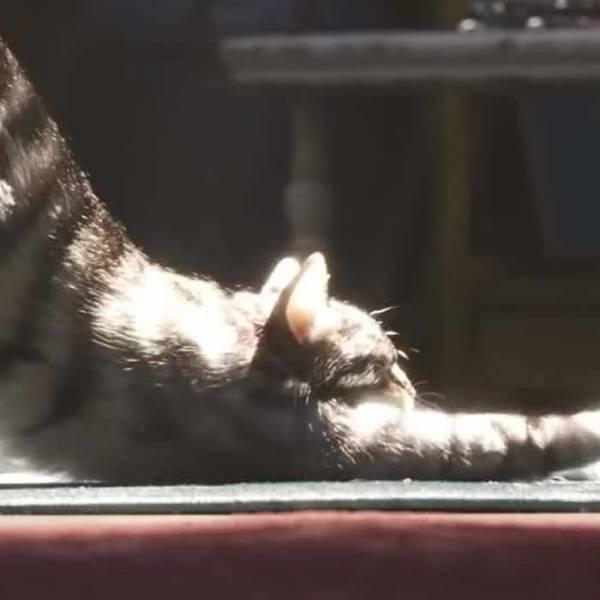 toystory4details_018