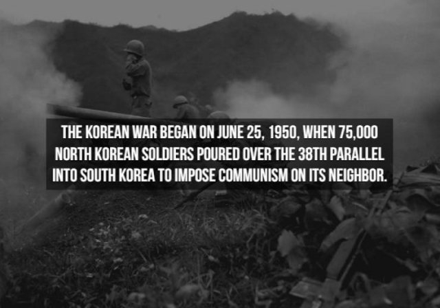 warfacts_004