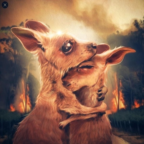 australianbushfireartists_009