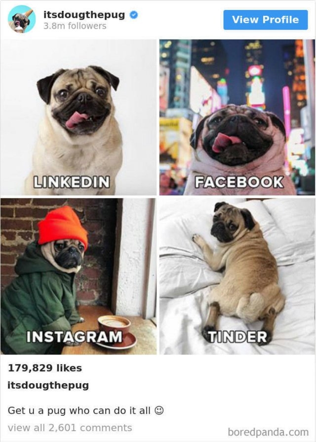 dollypartonchallenge_005