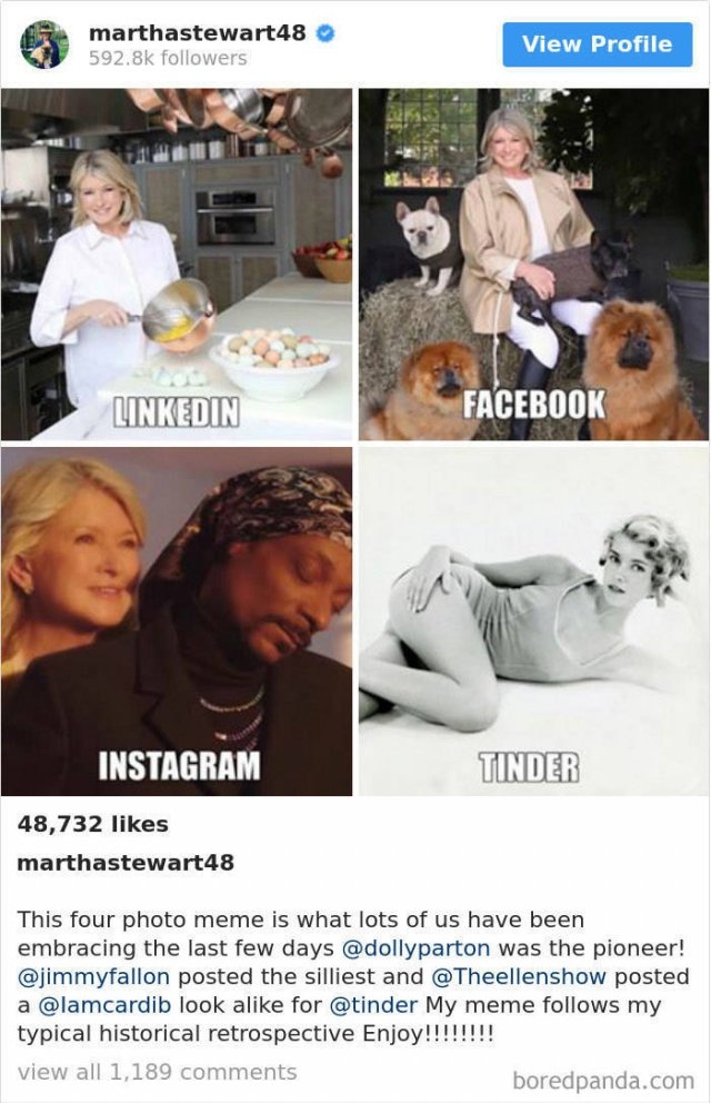 dollypartonchallenge_013