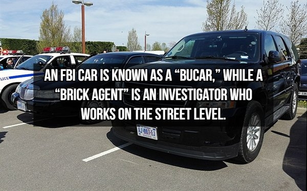 fbifacts_001
