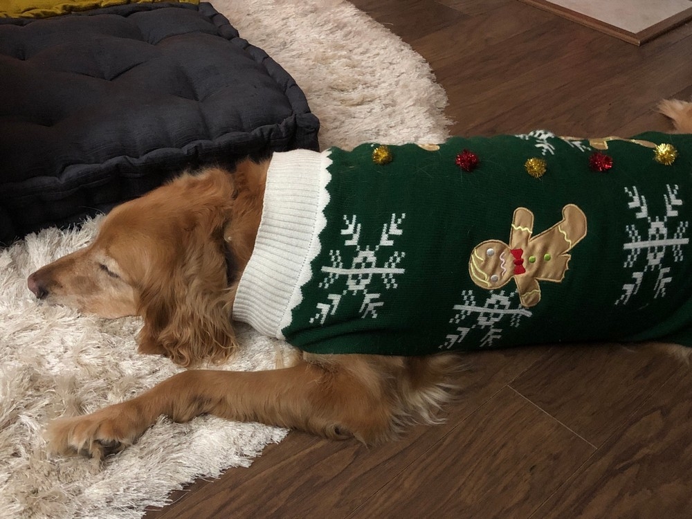 happyholidays2019_020