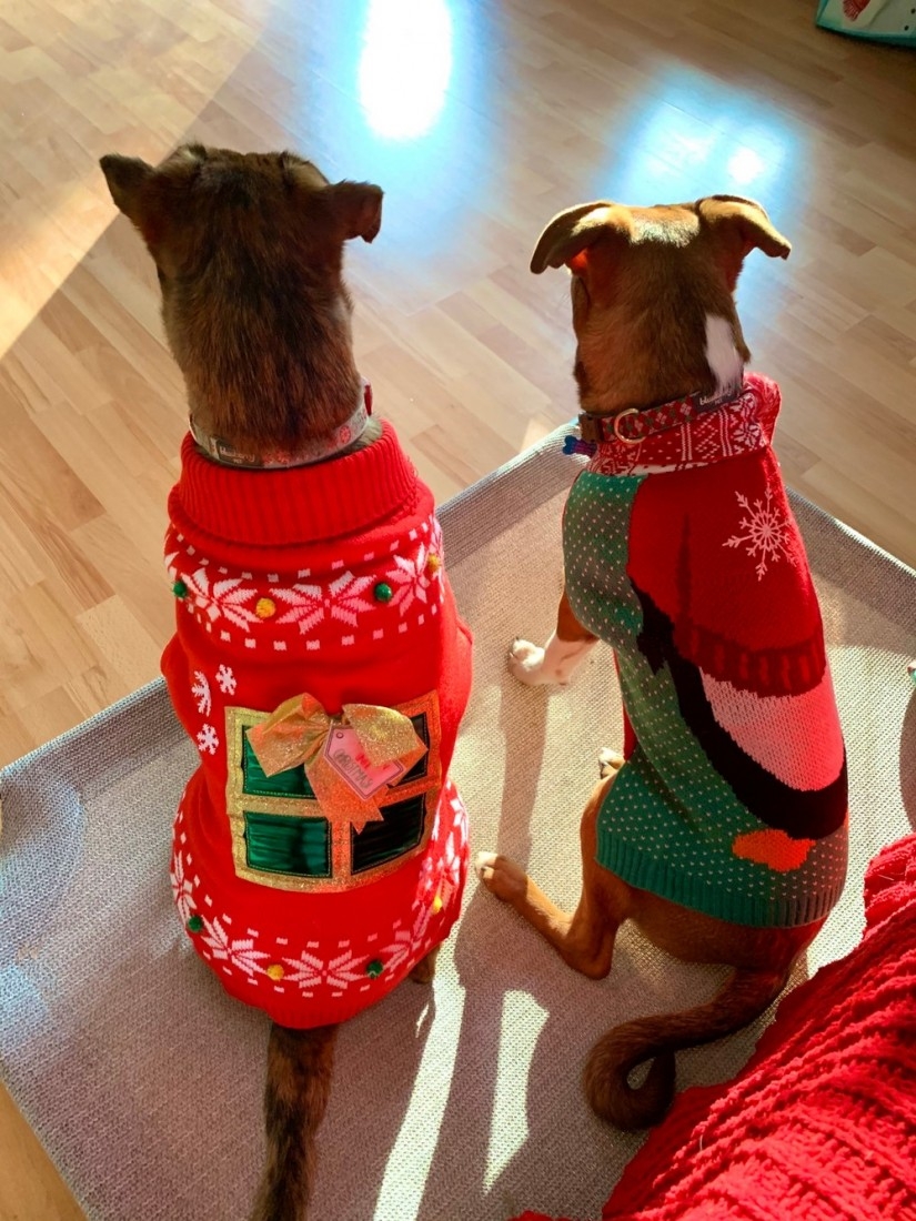 happyholidays2019_025