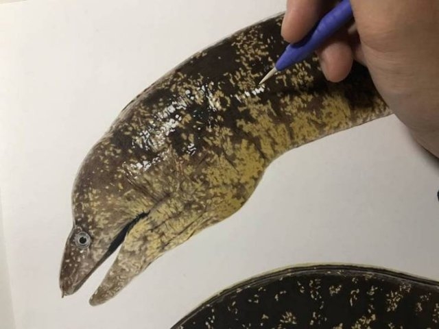 hyperrealisticyuukitokuda_007