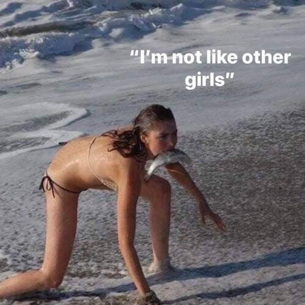 randompics233_072