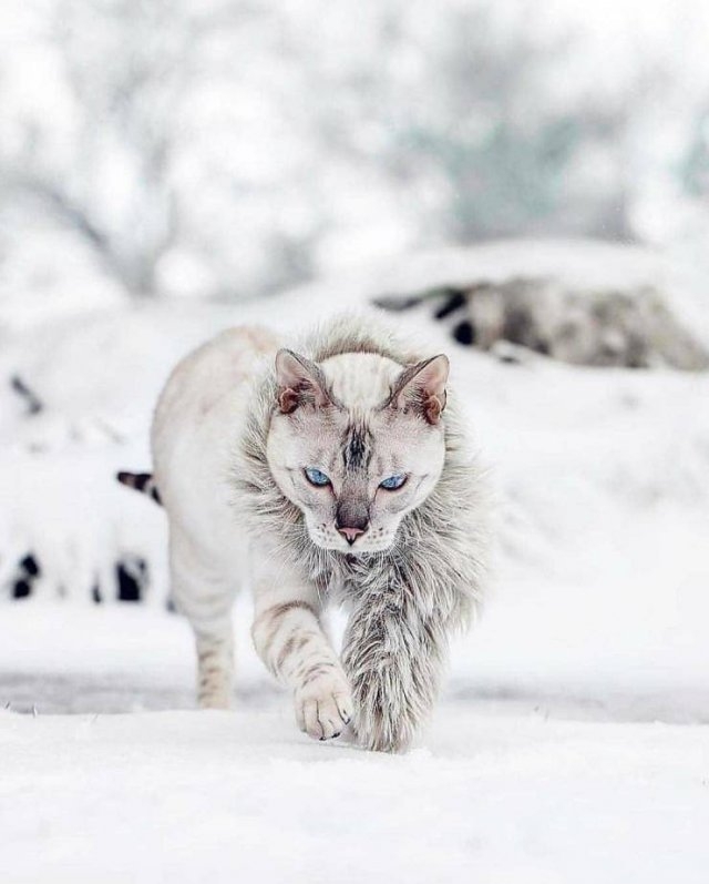 randompics236_063