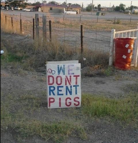 randompics236_086