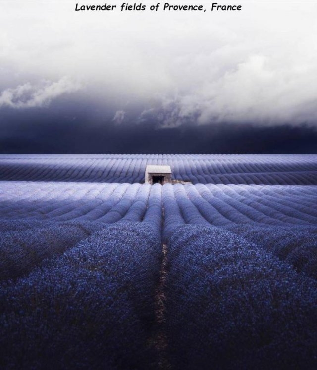 randompics243_089