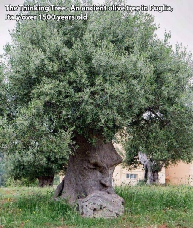 randompics244_064