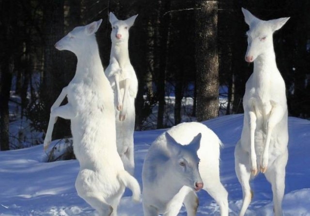 randompics262_056