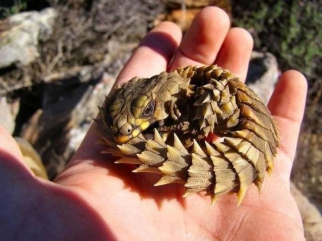 randompics262_071