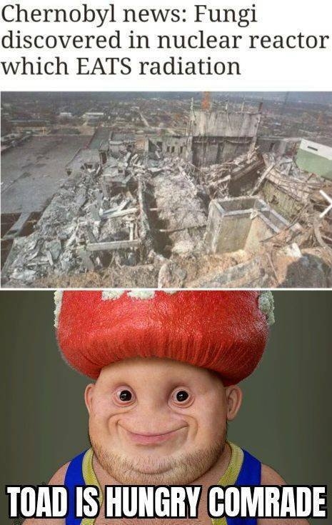 randompics262_081
