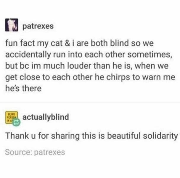 wholesome_001