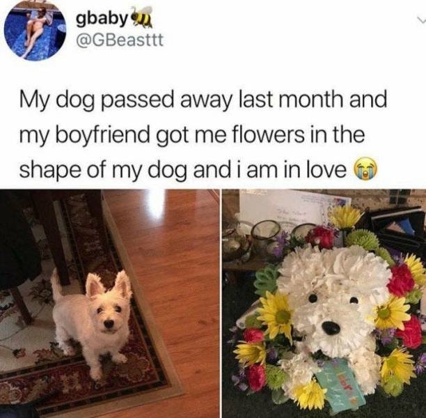 wholesome_011