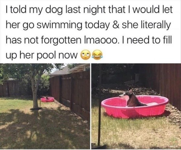 animals4_042
