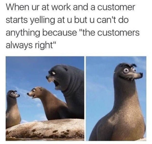 customerservicememes_030