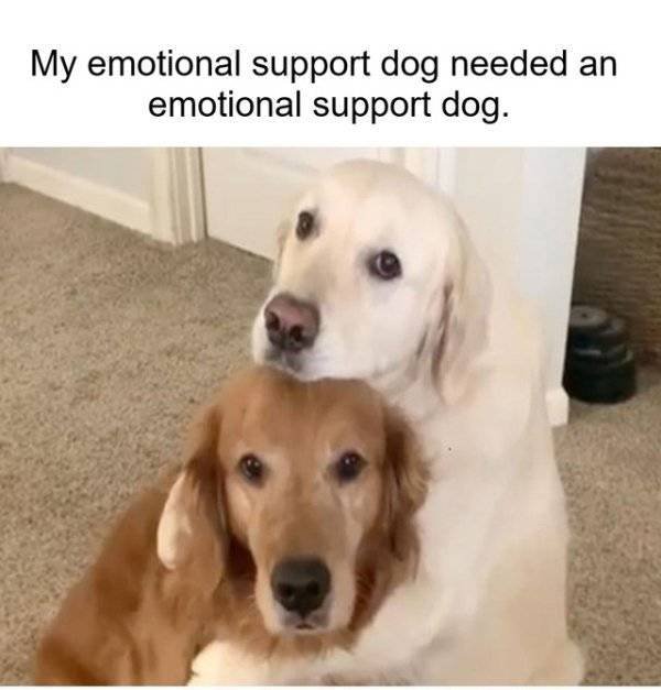funnymemes15_053