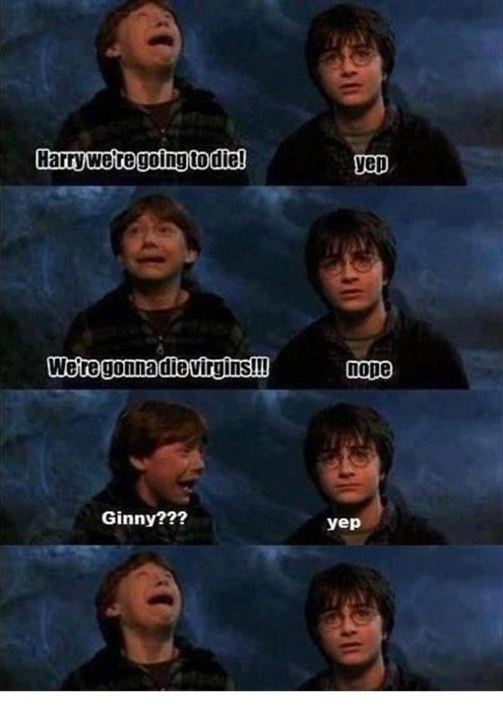 harrypottermemes_005