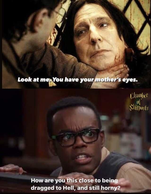 harrypottermemes_010