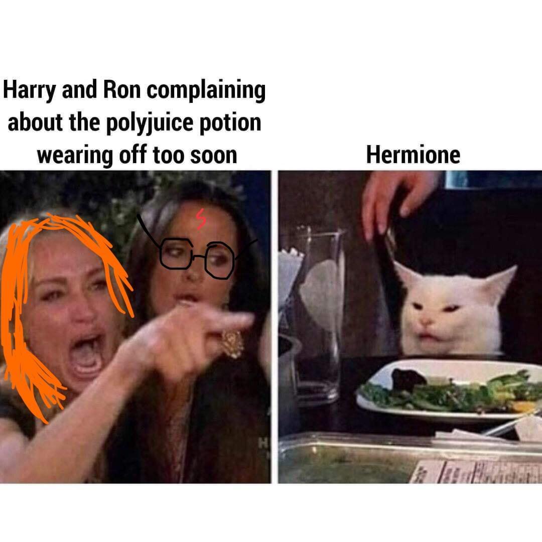 harrypottermemes_011