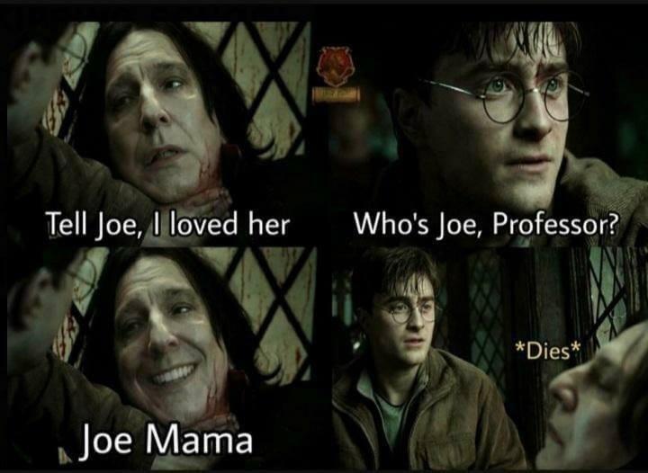 harrypottermemes_019