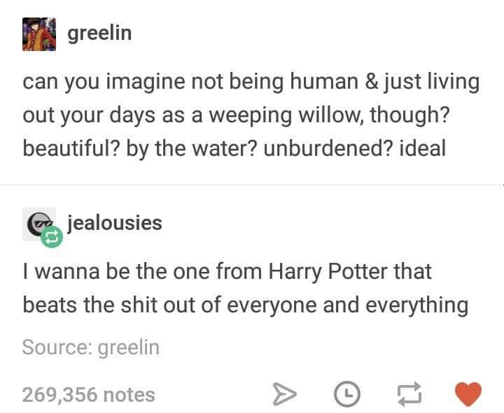 harrypottermemes_029