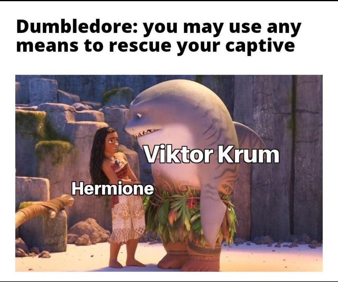 harrypottermemes_033