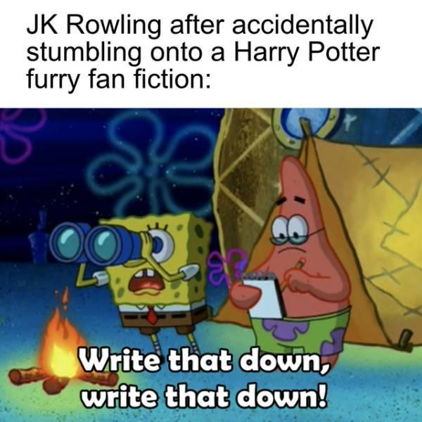 harrypottermemes_035