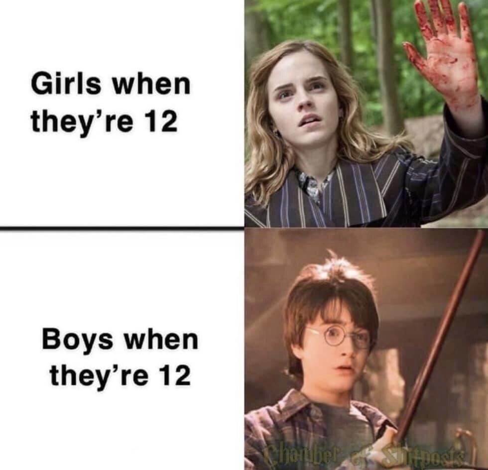 harrypottermemes_036