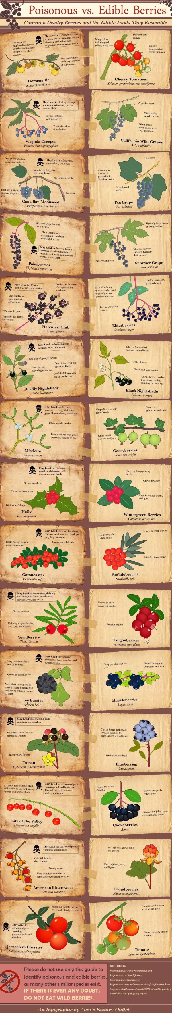 interestingdata4_012