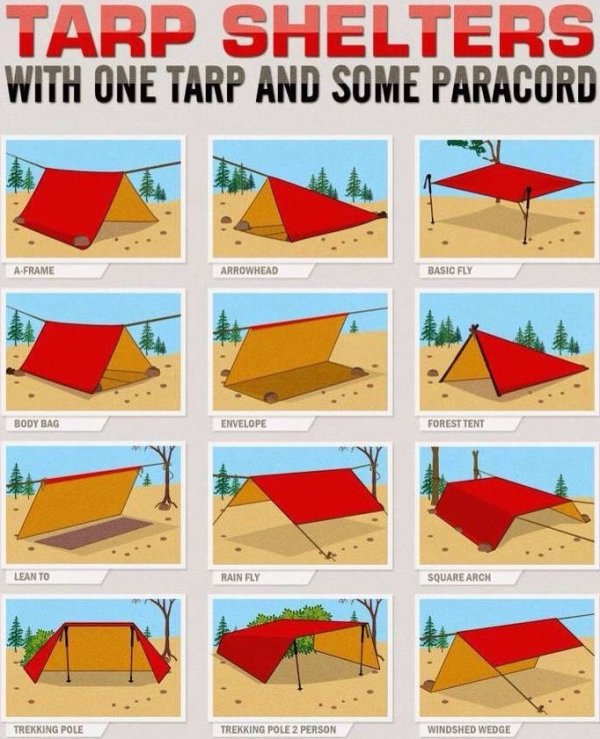 interestingdata4_013