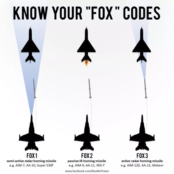 interestingdata5_006